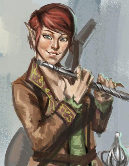 Полуэльф бард