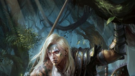 Лесной эльф друид днд