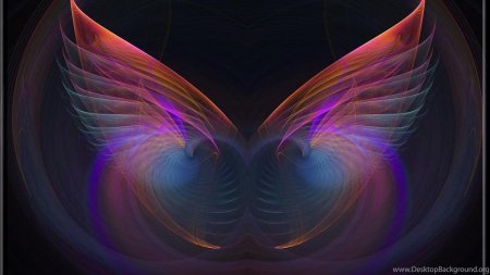 Радужные крылья