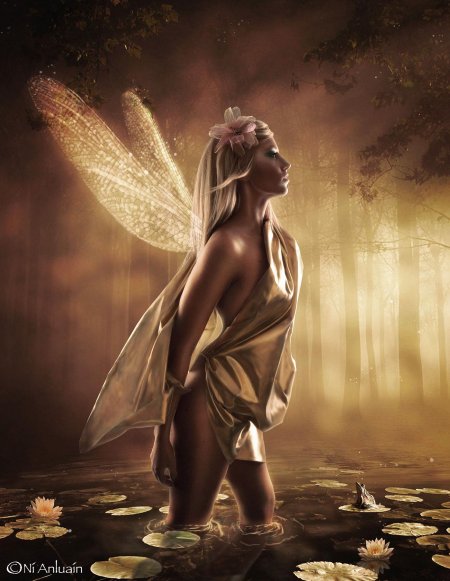 Феи красивые