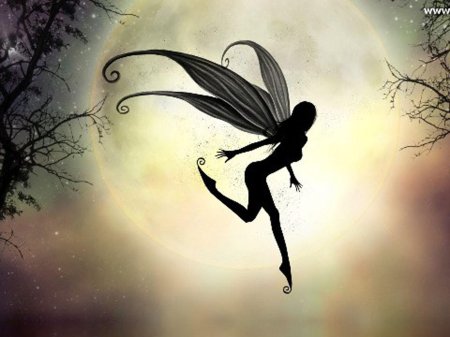 Силуэт феи