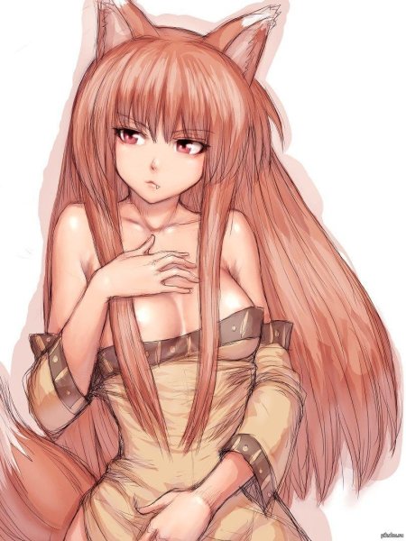 Холо мудрая