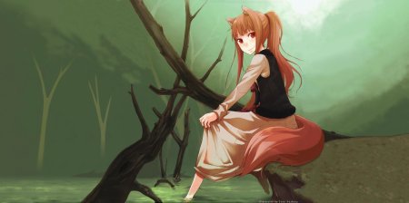 Холо мудрая волчица