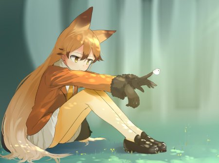 Ezo red fox