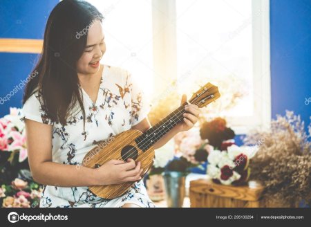 Гавайская гитара