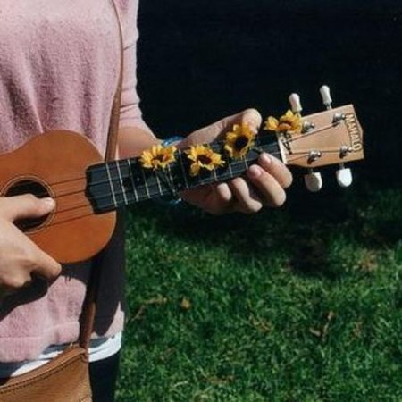 Гавайи укулеле эстетика