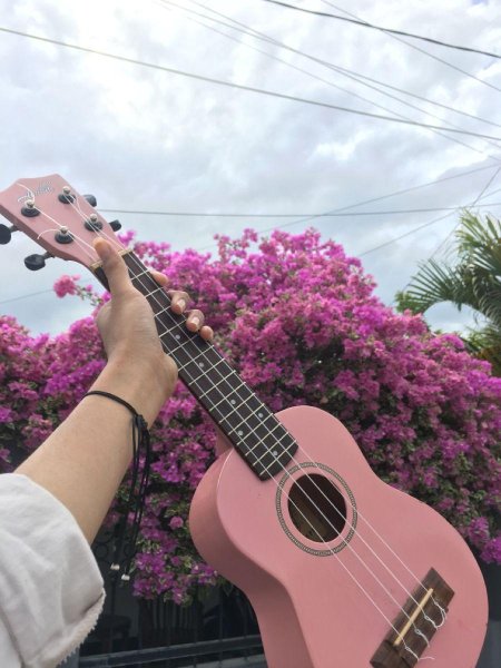 Укулеле гитара