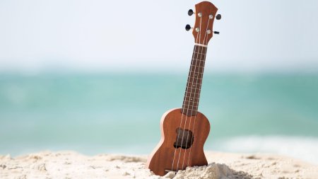 Гавайи укулеле эстетика