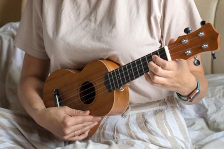 Укулеле и человек