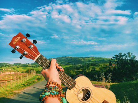 Гавайи укулеле эстетика