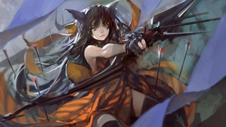 Лучник аниме