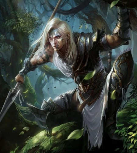 Мтг эльфы воины