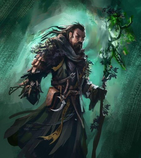 Друид днд арт