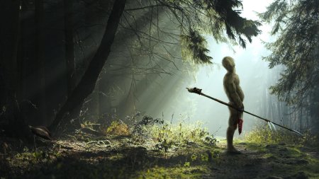 Странник в лесу