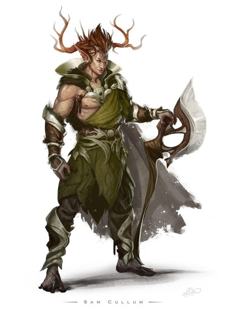 Эльф варвар днд