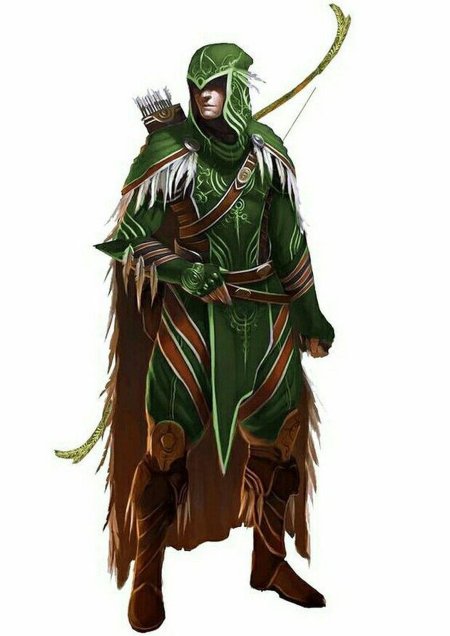 Лесной эльф рейнджер днд