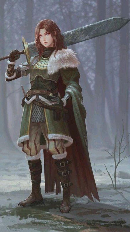 Паладин девушка днд