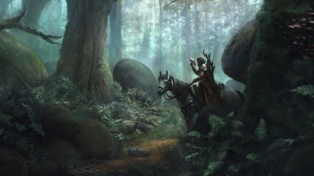 Фэнтези всадник в лесу