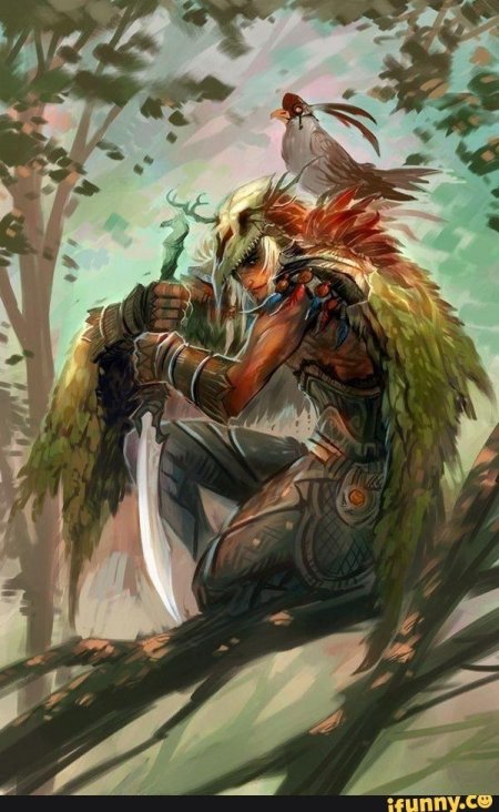 Друид воин днд