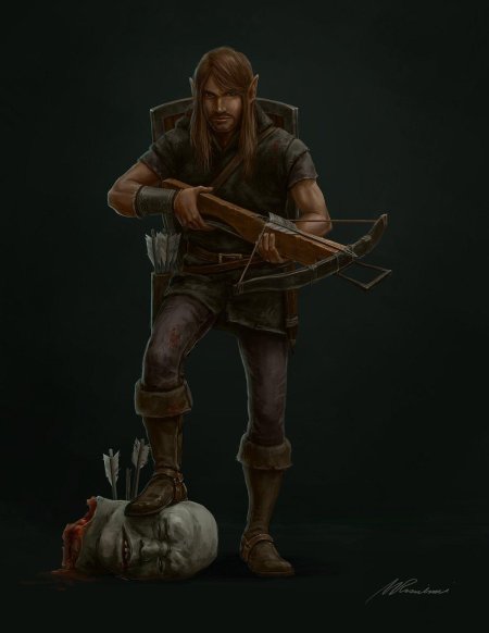 Полуэльф арбалетчик