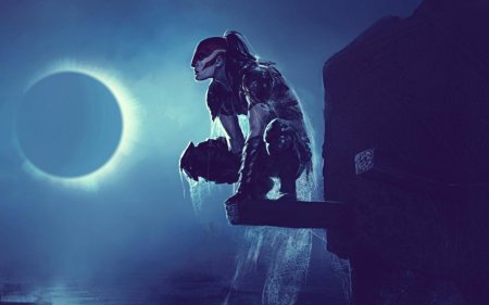 На фоне луны