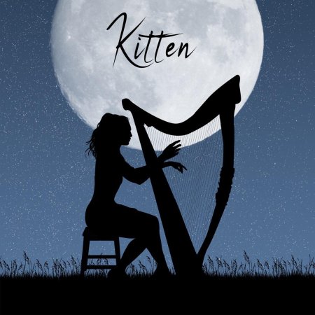 Кельтская арфа