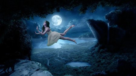 Лунная ночь