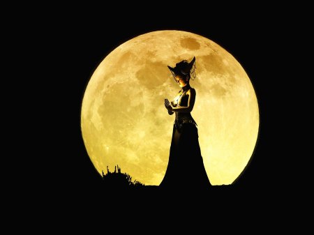 Ведьма и луна