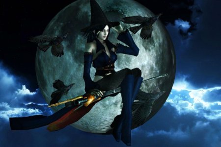 Ведьма на метле