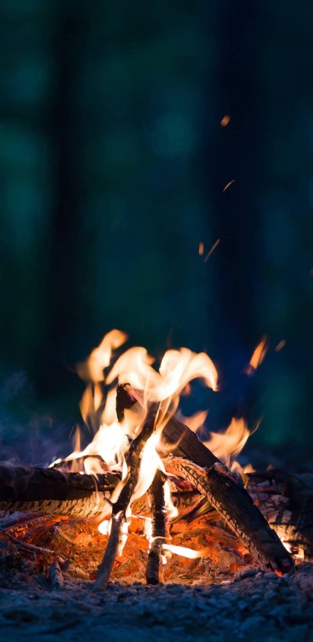 Костер в лесу