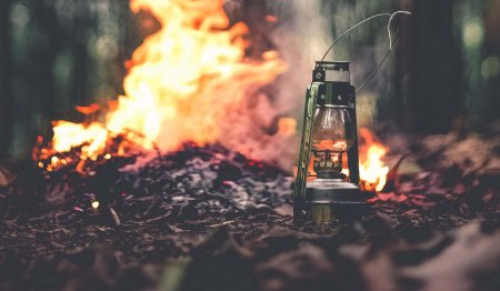 Костер в лесу