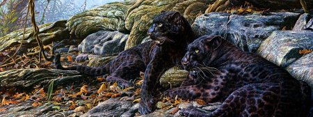 Картина пантера