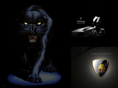 Пантера злая