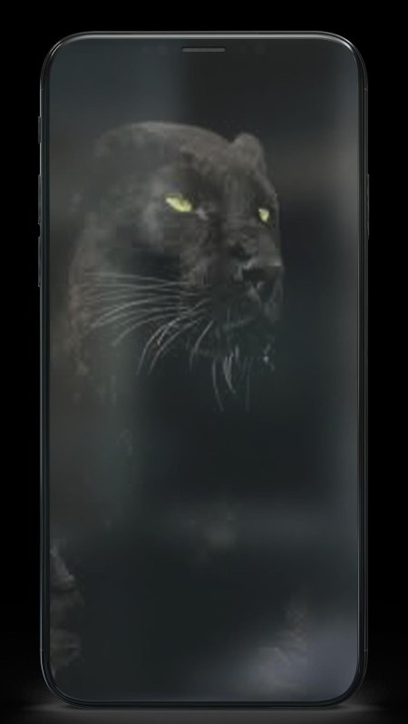 Красивая пантера