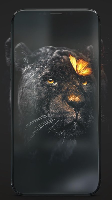 Черная пантера одон