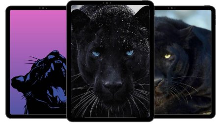 Обои на телефон пантера