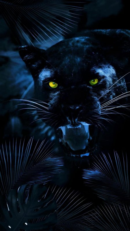 Красивая пантера