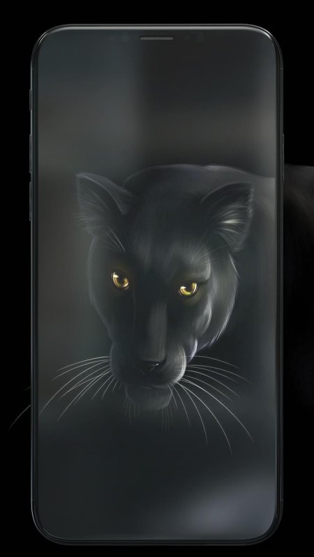 Черная пантера одон