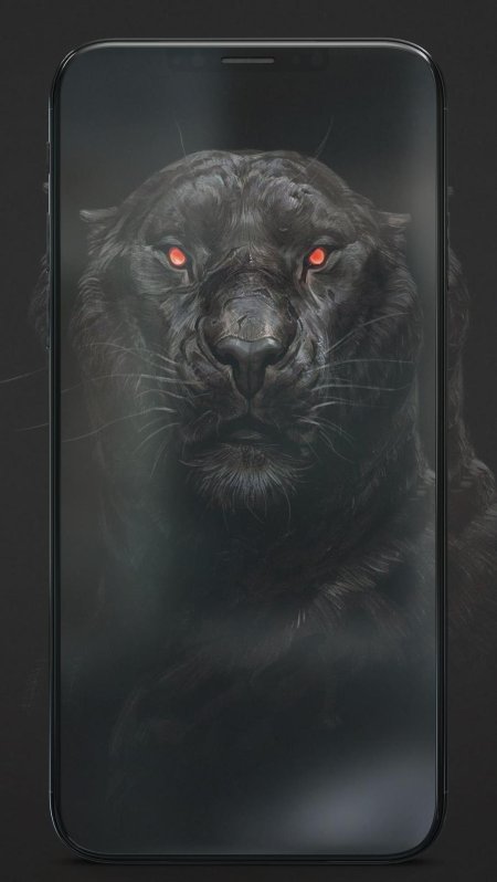 Обои на телефон пантера