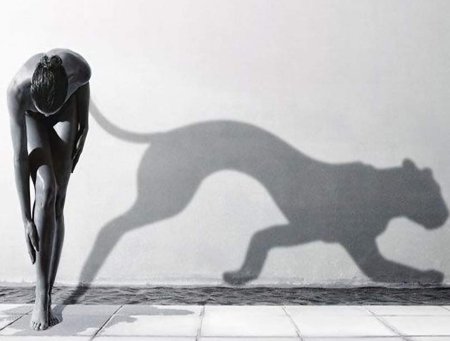 Девушка пантера