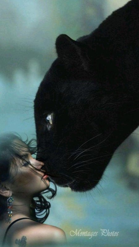 Черная пантера грация