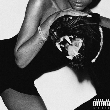 Девушка с пантерой