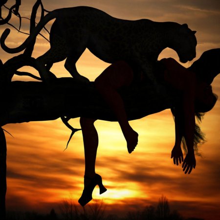 Силуэт пантеры