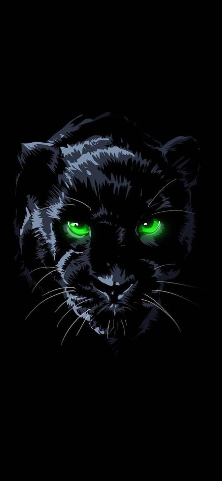 Пантера на черном фоне