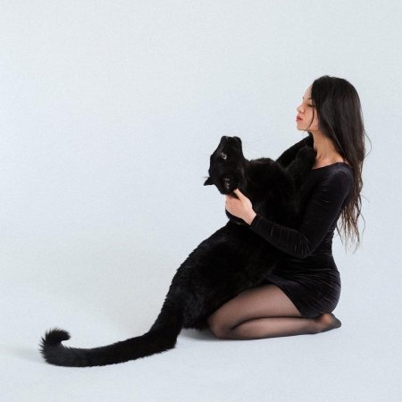 Хозяйка пантеры луны виктория