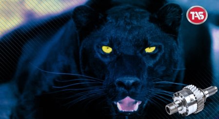 Черная пума