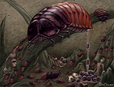 Гигантские насекомые древности