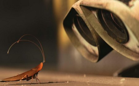 Таракан из валли