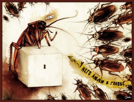 Таракан прусак кукарача