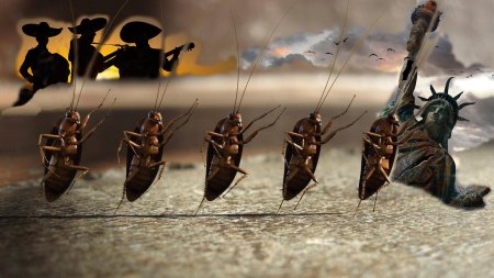 Таракан таракан